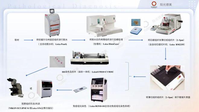 生物分析专栏 病理诊断技术在创新药物研发中的应用与探索